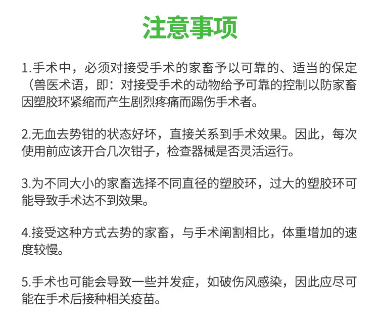 详情1_19.jpg