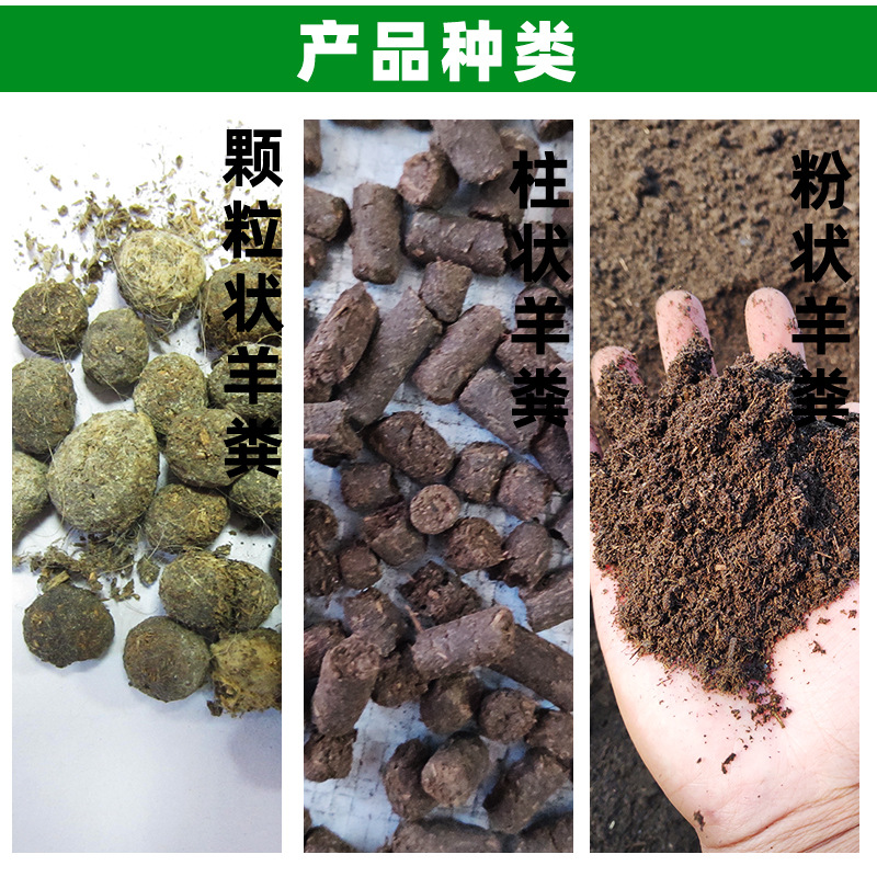 羊粪详情