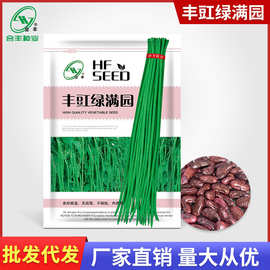 丰豇绿满园豇豆种子30g 酸豆角豇豆种籽长豆角籽蔬菜种孑厂家批发