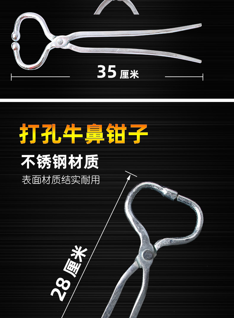 保定详情_05.jpg