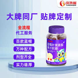 热销蓝莓叶黄素酯果汁软糖蓝莓味儿童凝胶糖果OEM贴牌定制源头厂