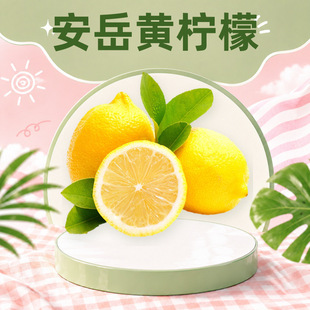 �Ĵ������S���� ���l1/2/3/5��Ƥ����֭����̲�Y���Ʒ���rˮ��