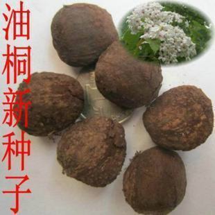 ��ľ�N���²���ͩ�N����ͩ��N��ͩ�͘�N��ͩ�Ә��ͩľ�͘�