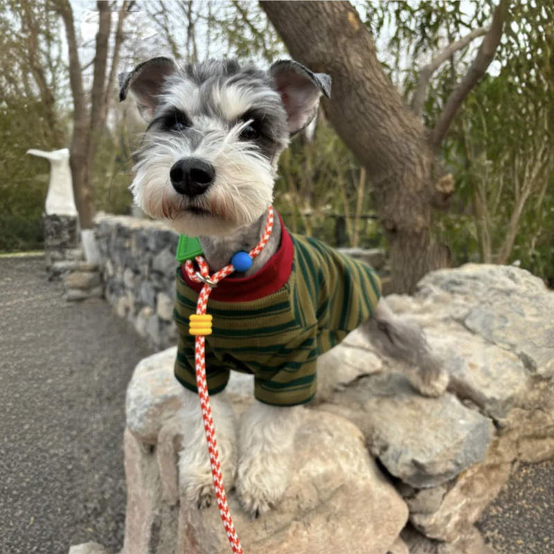 Primavera y verano ropa de perro delgada Teddy Malzies rayas camiseta de cuello redondo básico Schnauzer pequeño y medio perro