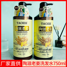 陶滋老姜生姜健发洗发水清爽蓬松控油去油滋润洗头膏适合头屑头痒