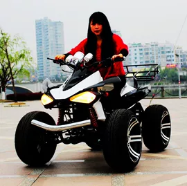 其他摩托车;其他电动车;传动链