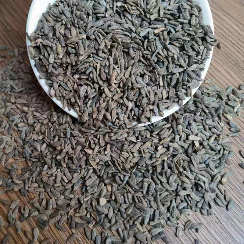 Dried Burdock Seed Niu Bang Zi 牛蒡子 Traditional Chinese Herb for Decoction and Tea Wholesale Bulk key features