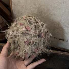 ♧乌木玫瑰邓邓手混线手工DIY勾编织包包帽子手绳卡套配线材料