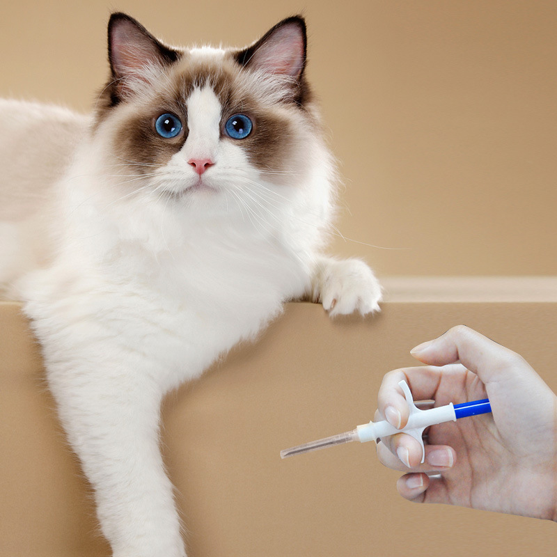 O1CN01z5jmsQ1UW2WKwtxrc_!!2214