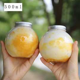 500ml圣诞球形瓶透明塑料瓶冷饮甜品奶茶杯pet加厚食品罐装地球瓶