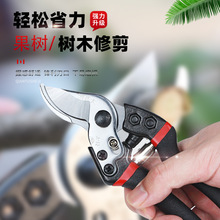 �޼���֦����������֦��ʡ������SK5䓈@�ֈ@ˇ�������乤�߼���