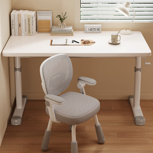 Children's Study Table Manual Lifting Large White Table Primary School Students Home Writing Special Bookcase Integrated Desk Computer Table