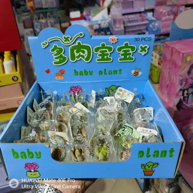 Mini Succulent Plant Pendant Creative Small Potted Miniature Landscape Pendant Glass Bottle Keychain Student Gift