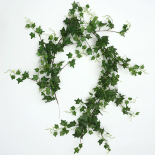 ���ĳ������~���ٷ������ٗl�~���~1.7�������� �������ٷ��溣��