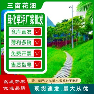 �S�����l�o�²ݷN�ӾG������߅�²�ƺ�N���ļ����;G������������