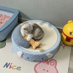 Sisal Cat Scratching Board Cat Nest Four Seasons Universal Small and Medium Cat Bed Blue Cat Summer Pet Toy Claw Grinding