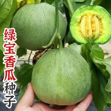 �G��ʯ��ϷN���ļ����N��Ƥ��������ϷN�ѾGƤ����̨�ԷN