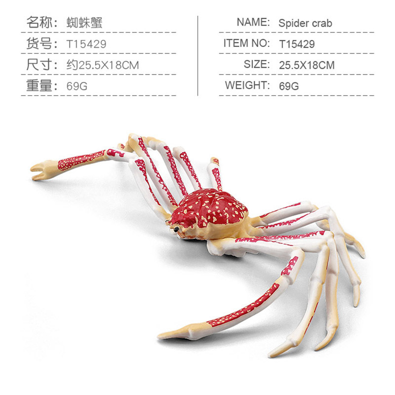Simulación transfronteriza modelo de cangrejo de animales marinos niños cognitiva rey cangrejo araña cangrejo juguete estático decoración de escritorio