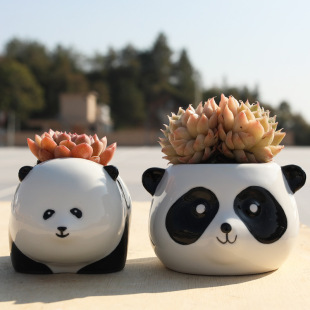 ⻨մɺsͨ؈₀͸GֲСϘ辰ɐ