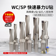 U荿�����^���U܇�����ر����SPƽ�ׇ�ˮ��^WC��Ƭ�黨荴��
