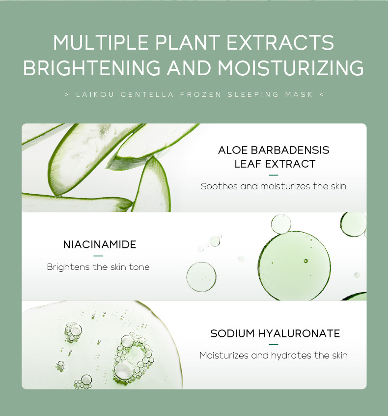 Wholesale cross-border LAIKOU Centella asiatica frozen Mask 100g application-based sleeping mask Hydrating Moisturizing Cleansing mask undefined