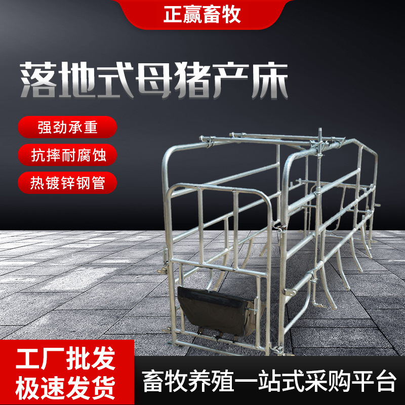 Los fabricantes al mayorista camas de parto para cerdas de planta para equipos de parto de cerdas de doble uso en pie