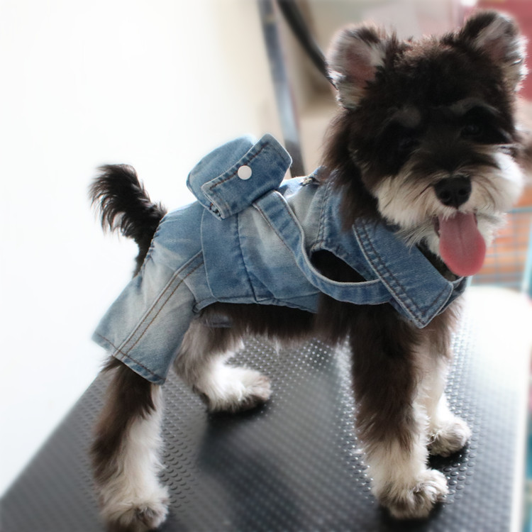 Pet clothes dog four-legged Denim backpack jumpsuit teddy bear small dog clothing spring and autumn winter new