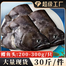 大号鲽鱼头300g/只30斤/箱鲽鱼头商用批发海鲜水产比目鱼冻鲽鱼身