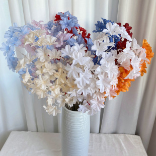 �˿����ѻ�ѩ�q��Y��ѩ�q�Ƶ����b���ѻ���c��Ʒ���滨��