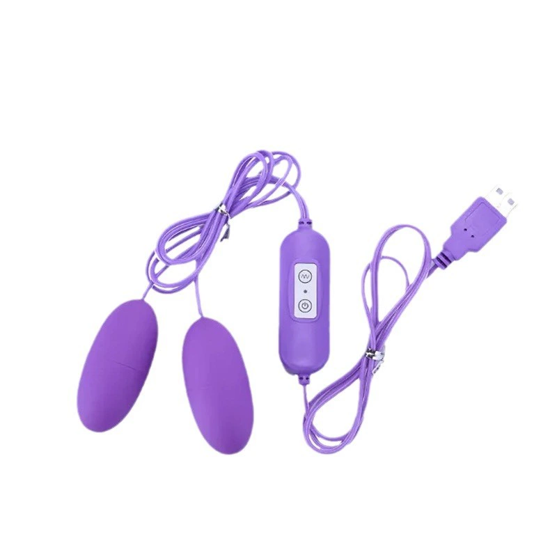 USB Vibrating Egg (single & double) — USB plug-in, 2-mode remote, purple or pink