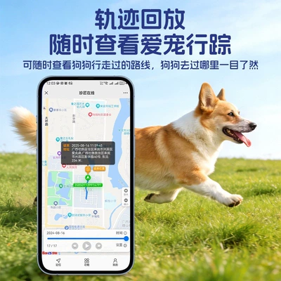 anti-lost tracking device intelligent GPS Locator