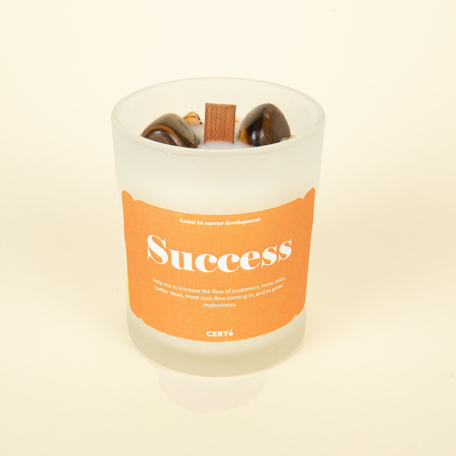 성공 (오렌지 도움 비즈니스 편향)