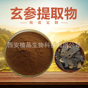 玄参提取物20:1 浙玄参粉 黑参粉 乌元参提取物 玄参浸膏 500克-阿里巴巴