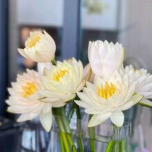 �㙉˯ɏ�r���������������ˮ�B�r�л���������ˮ�໨�k���Ҳ廨