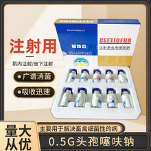 ���^��0.5g�^����߻�c ����ă� �m����i�� �V�V�������տ���