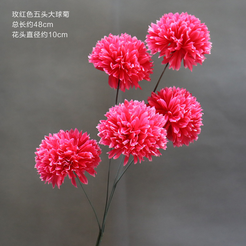 Rosa roja de cinco cabezas crisantemo