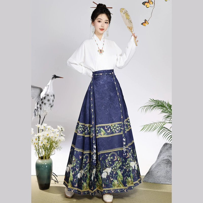 Henming новый оригинальный Hanfu женская национальная юбка с конским лицом Ming