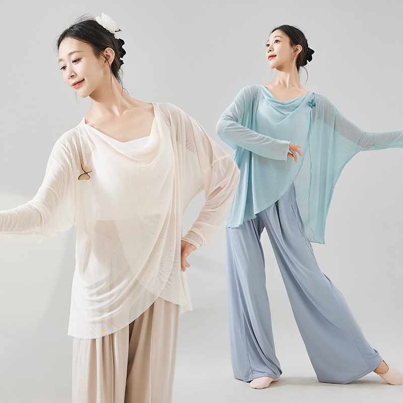 Dance Clothing for Adults, Summer Classical Hanfu Gauze Dress, Elegant Loose-Fitting Practice Outfit, Long-Sleeve New Style Top