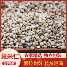 �F؛޲����޲������؛�F�ݴ�޲���׿ɴ���ඹ�t������s�Z���ٰl