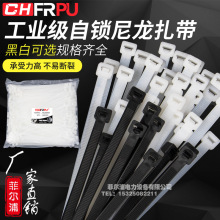 ���iʽ��������4*200mm�̶����������������� ����PA66���Ϻڰ�ɫ