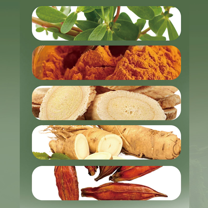 国药药材马齿笕双黄栀子片特殊膳食压片糖果现货速发|undefined