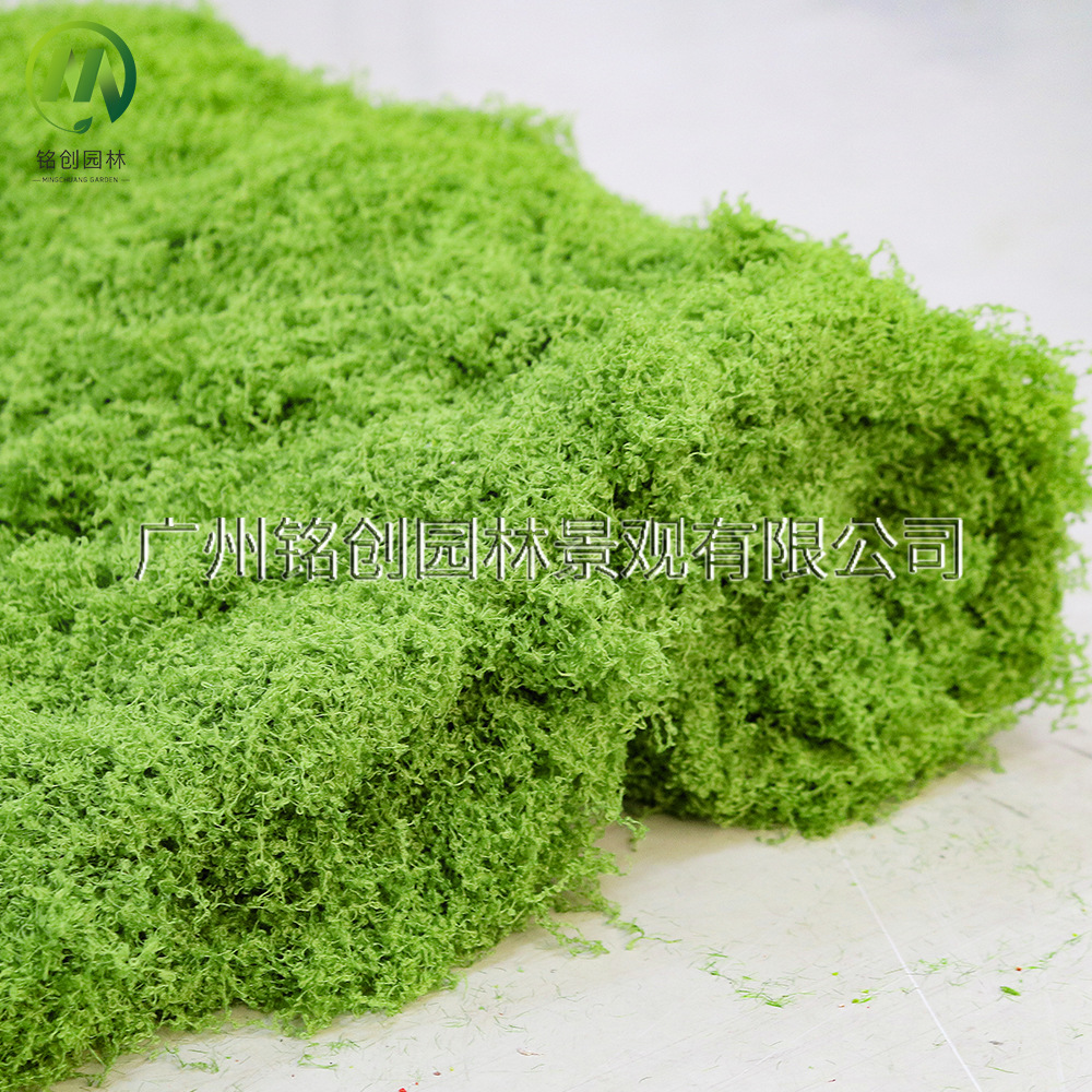 Simulación de decoración de micropaisaje de musgo, césped de musgo falso, musgo filamentoso, plantación verde, simulación de paisajismo, musgo