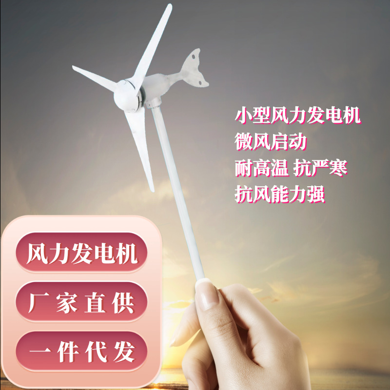 电动风力发电机风光互补路灯100W新能源监控环保变频直流智能变频