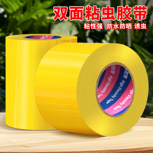 �Sɫճ�x�z����ľ���x�z��ճ�x�@����ľͨ���p���p�@���ճ�z���l