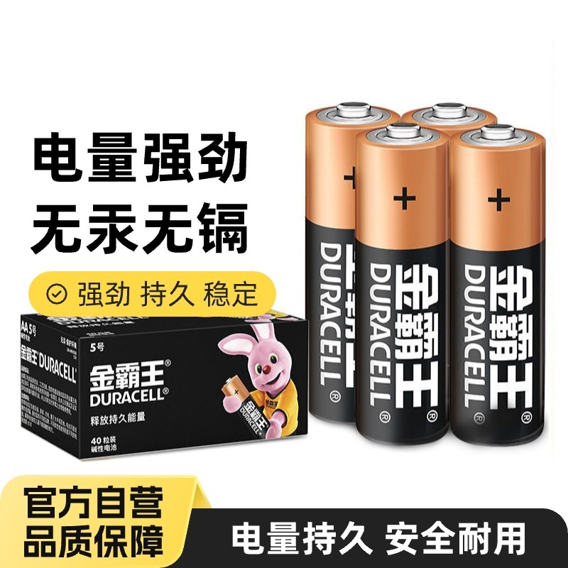 Large Capacity Alkaline No. 5 No. 7 Battery Mouse Keyboard Remote Control Braun Ear Temperature Gun