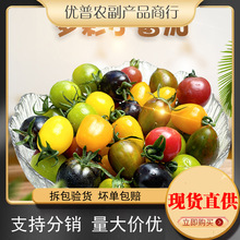 ɽ�|�۹���С���� ���l3/5�����rС�������Sɫ����}Ů���M��