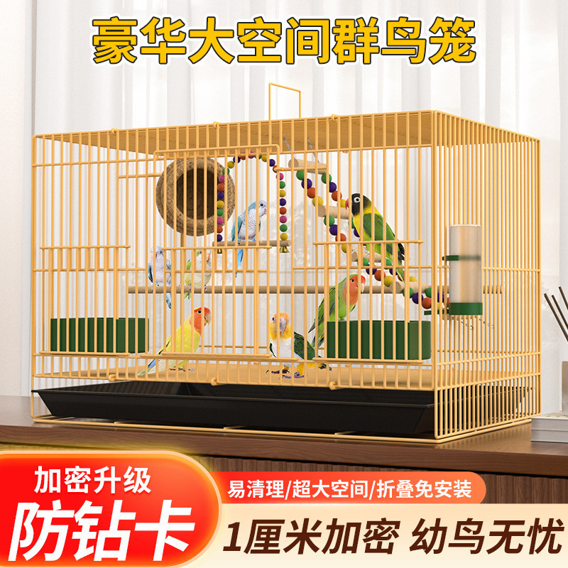 鳥かご 送料無料 金属鳥かご 大型 オカメインコ 鳥かご カササギ アカシア鳥かご 黒鳳凰鳥かご ハトかご|undefined