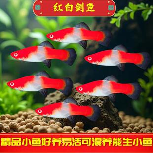 �t�ׄ��~�Ꭷ�~�^�p�~�t�ׄ�̥���~��ˮ�~���B�ͻ�t���~�����~��