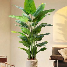 �����B�Gֲ�p�ݷ������͏d�����҃����Ԕ[���b��ֲ��