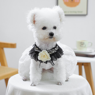 Pet Dog Cat Small Size Dogs Puppy Fashionable Romantic Cute Accessories Small Fragrant Black Gauze Scarf
